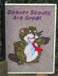 Additional Well Dressing (2)