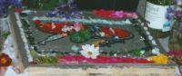 Demonstration Well Dressing