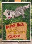 Children&rsquo;s Well Dressing
