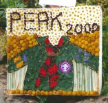 Old Horsetrough Well Dressing (1)