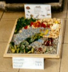 Silverhill Primary School Years 5 & 6 Well Dressing (1)