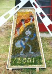 Windmill Well Dressing