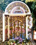 Main Well Dressing