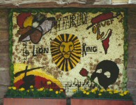 Doctor Lane Well Dressing