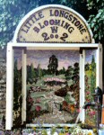 Main Well Dressing