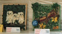 Silverhill Primary School Years 1 & 2 Well Dressings (1 - 2)
