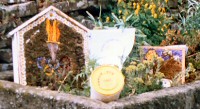 Children&rsquo;s Well Dressings
