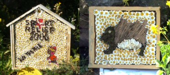 Children&rsquo;s Well Dressings