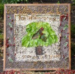 Town Lane Well (dressing 2)