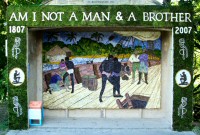 Main Well Dressing