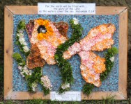 Additional Well Dressing at Canal Basin (Good News)