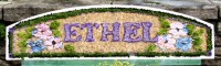 Additional Well Dressing at Canal Basin (Ethel)