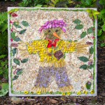 Town Lane Well (dressing 3)