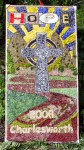 Town Lane Well (dressing 1)