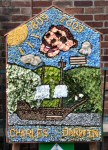 Primary School Well Dressing