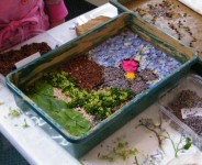 Demonstration Well Dressing
