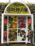 Main Well Dressing