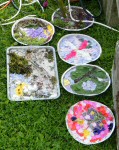 Additional Small Well Dressings
