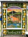 Main Well Dressing