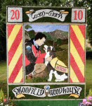 Main Well Dressing