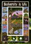 Children&rsquo;s Well Dressing