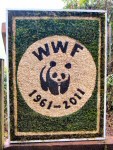Children&rsquo;s Well Dressing