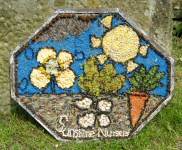 Additional Well Dressing at Canal Basin (Sunshine Nursery)