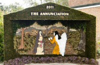 Valley Rise Well Dressing