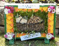 St John&rsquo;s CE Primary School Well Dressing (2)