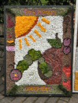 Additional Well Dressing (2)