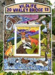 Canal Basin Well Dressing