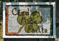 Additional Well Dressing