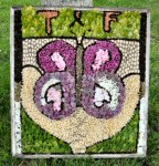 Taxal & Fernilee School Well Dressing