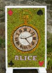 Additional Well Dressing