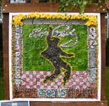 Ash Brook Well Dressing