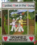 Main Well Dressing