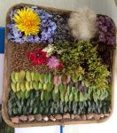 Demonstration Well Dressing