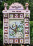 Main Well Dressing