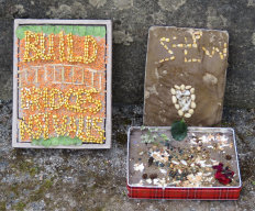 Additional Well Dressings