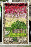 Hayfield Primary School Well Dressing