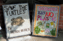 Guides and Brownies Well Dressings