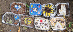 Additional Well Dressings