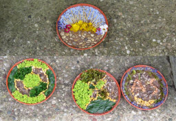 Additional Well Dressings