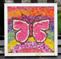 Sheep Roast Children&rsquo;s Well Dressing (15)
