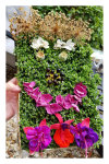 VJ Day Mini Well Dressing