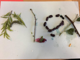 Well Dressing Collage (15)