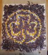 Well Dressing Collage (2)