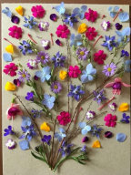 Well Dressing Collage (4)