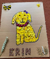 Well Dressing Collage (5)