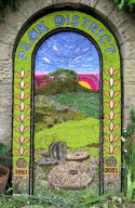 Main Well Dressing